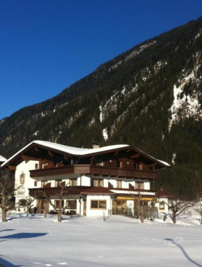 Гостиница Hotel-Garni Almhof  Майрхофен